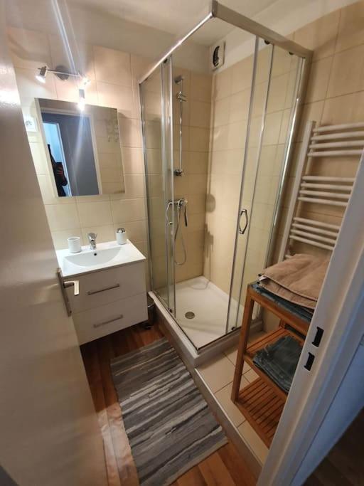 Superbe 2 Pieces, Centre Vue Mont-blanc Avec Balcon Et Parking Gratuit Apartamento *